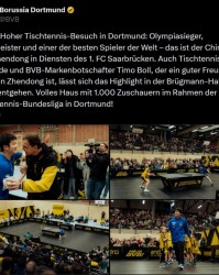 乐鱼官方网站-樊振东随队客战多特吸引上千球迷观战，多特死忠波尔也来到现场