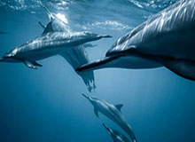 春节要闻回顾：国青表现不俗 中超多队完成引援